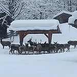 Yogahaus Berchtesgaden Apartamento